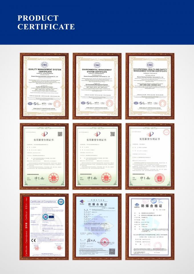 리?? 플랜트에 직접 삽입 가능한 포크 밀도 미터 2